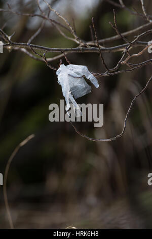 Il littering Loch Lomond Foto Stock