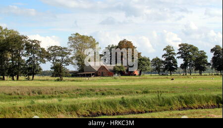 Tradizionale fattoria olandese al villaggio Sandebuur, area Leekstermeer, vicino alla città di Groningen, Paesi Bassi Foto Stock