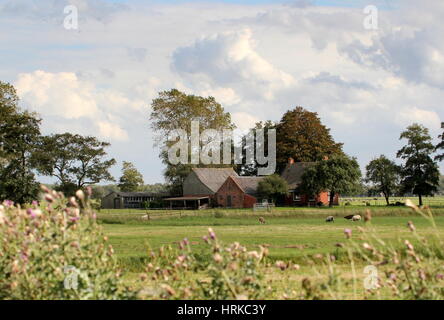 Tradizionale fattoria olandese al villaggio Sandebuur, area Leekstermeer, vicino alla città di Groningen, Paesi Bassi Foto Stock