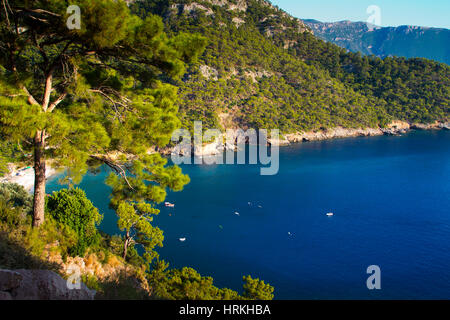 La foresta e il paesaggio costiero. Kabak Valley. Via Licia. Provincia di Mugla, costa Egea, Turchia. Foto Stock