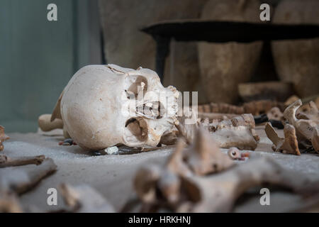 Antico luogo di sepoltura con un teschio e ceramiche da un altro milenium Foto Stock