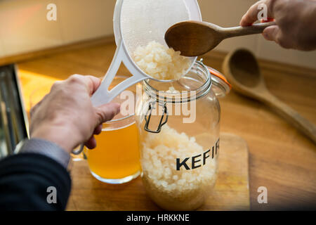 Rendendo fatta in casa il kefir di acqua Foto Stock
