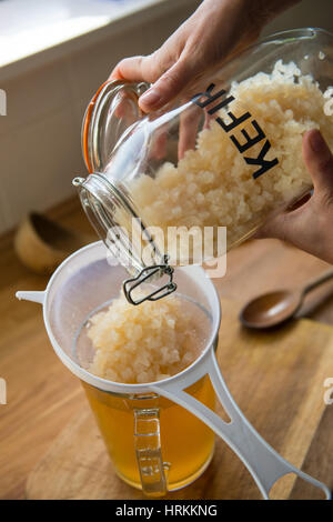 Rendendo fatta in casa il kefir di acqua Foto Stock