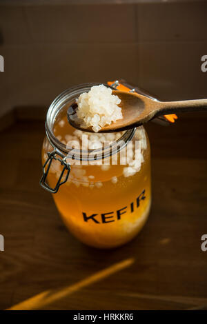 Rendendo fatta in casa il kefir di acqua Foto Stock