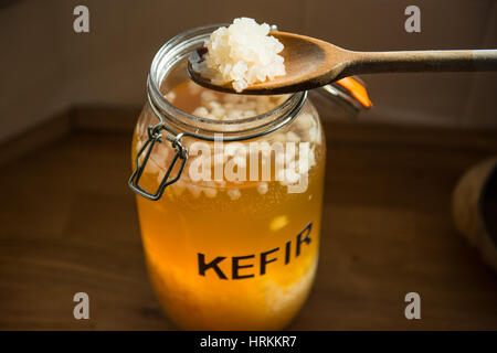 Rendendo fatta in casa il kefir di acqua Foto Stock