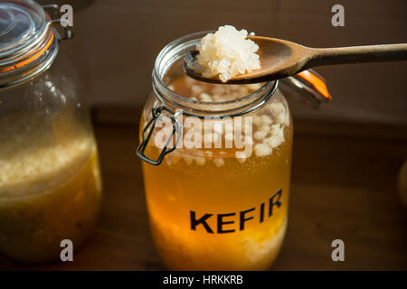 Rendendo fatta in casa il kefir di acqua Foto Stock
