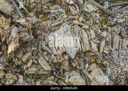 In prossimità di alcuni scheggiato / shaptered ardesia tipo di roccia. Concetto di 'cadere sul terreno pietroso', avvertenze o consigli ignorato, rotta in pezzi, in frantumi. Foto Stock