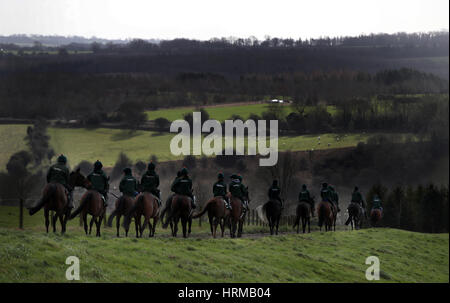 Cavalli fuori sul galoppa durante una visita a Nigel Twiston-Davies maneggio a Grange Hill Farm, Cheltenham. Foto Stock