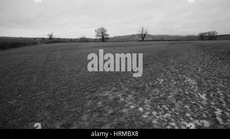 Molto fangoso campo di fattoria con cielo nuvoloso in bianco e nero, Cotswold campagna, England, Regno Unito Foto Stock