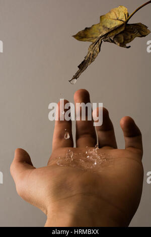 Una goccia di pioggia caduta su un lato da una foglia Foto Stock