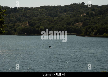 Lafayette serbatoio Foto Stock