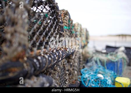 Aragosta e granchio pentole sulla banchina Foto Stock