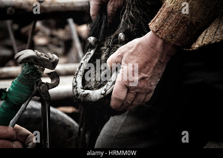 LUPENI - 19 aprile: Unidentified fabbro, maniscalco ferratura di un cavallo. Tale tipo di fabbro tecniche sono molto rare in Romania. Il 19 aprile 2012 in L Foto Stock