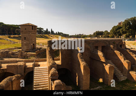 Il Circo massimo o il Circo Massimo a Roma, in Italia. Foto Stock