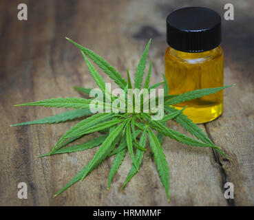 Il verde delle foglie di cannabis medicinale con olio estratto Foto Stock