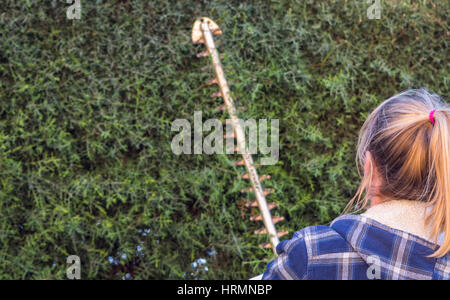 Donna siepe di taglio con electric tagliasiepi. Foto Stock