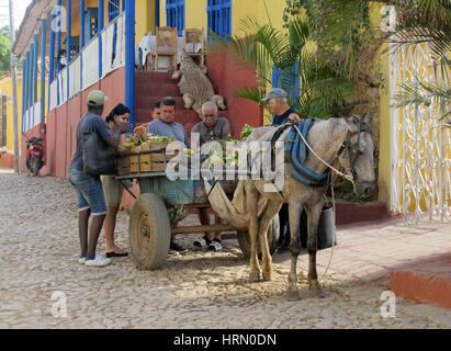 Trinidad, Cuba. 31 gennaio, 2017. Venditori e clienti in piedi da un mobile di frutta stand in Trinidad, Cuba. Prese su 31.01.2017. Foto: Annette Meinke-Carstanjen/dpa-Zentralbild/ZB | in tutto il mondo di utilizzo/dpa/Alamy Live News Foto Stock