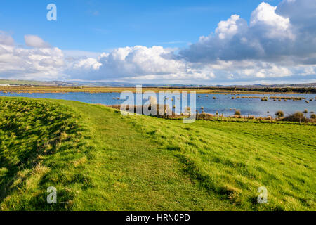 L argine a Braunton Marsh e Horsey isola al di là. Braunton, Devon, Inghilterra. Foto Stock