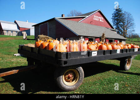 Un carro pieno di zucche, Hawley, PA Foto Stock
