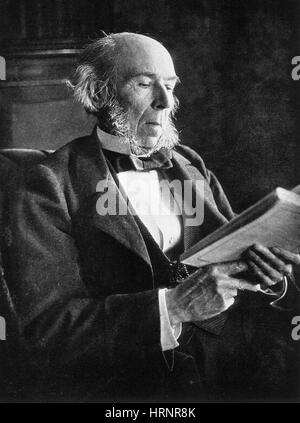 Herbert Spencer, Polymath inglese Foto Stock