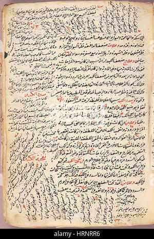 Islamica Enciclopedia medica Epitomes manoscritto, XII secolo Foto Stock