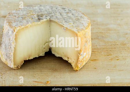 La forma di formaggio a pasta dura di una crosta bloomy latte di capra, il gelo crosta, di trattamento attraverso un apposito stampo del genere Penicillium, come Penicillium camemb Foto Stock