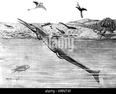 Metriorhynchus, Jurassic rettile marino Foto Stock