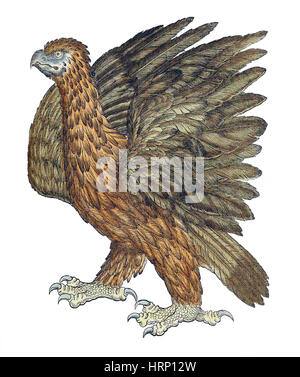 Eagle, Historiae Animalium, XVI secolo Foto Stock