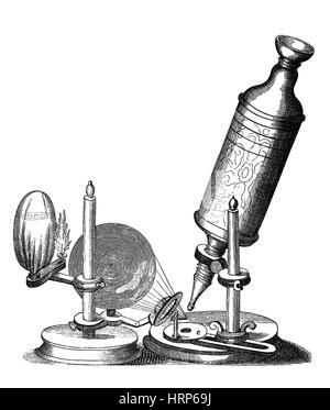 Robert Hooke microscopio, xvii secolo Foto Stock