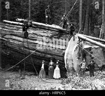 Generale Struttura nobile, 1892 Foto Stock