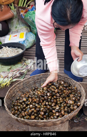 Le lumache per la vendita della PSA Leu Mercato in Siem Reap, Cambogia Foto Stock