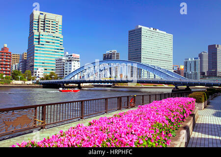 Eitai Ponte sul Fiume Sumida a Tokyo Giappone Foto Stock