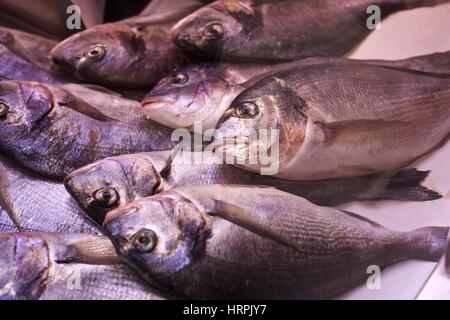 Pesce sul display su un mercato in stallo Foto Stock
