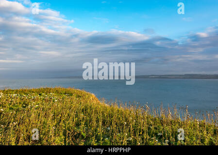 Vista da Carr Naze, Filey su una bella sera di settembre. North Yorkshire, Inghilterra. Foto Stock