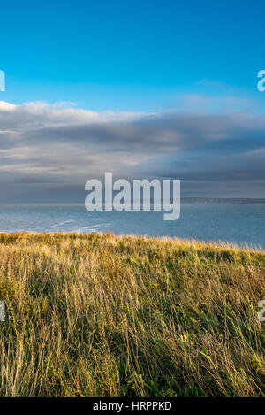 Vista da Carr Naze, Filey su una bella sera di settembre. North Yorkshire, Inghilterra. Foto Stock