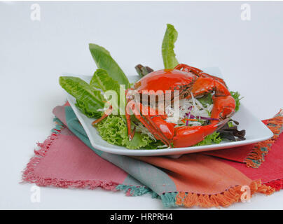 Al vapore granchio marrone su di un piatto di insalata isolata contro il bianco. Foto Stock