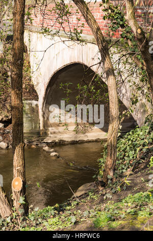 Ponte su Certovka (Devil's canale), isola di Kampa, Praga, Repubblica Ceca, Europa Foto Stock