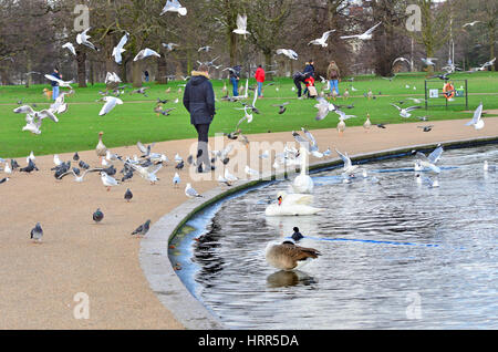 Londra, Inghilterra, Regno Unito. Allo stagno rotondo in Kensington Gardens Foto Stock