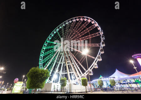 ABU DHABI, Emirati Arabi Uniti - 26 NOV 2016: Marina occhio ruota panoramica Ferris presso il Centro Commerciale Marina illuminata di notte. Abu Dhabi, Emirati Arabi Uniti Foto Stock