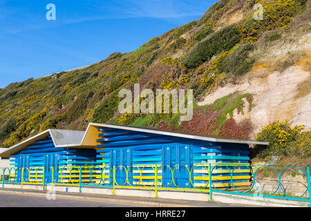 Accessibile, il primo del Regno Unito, il costruito a tale scopo progettati completamente accessibile a disabili spiaggia capanne, promenade tra Bournemouth & Boscombe, DORSET REGNO UNITO NEL GENNAIO Foto Stock