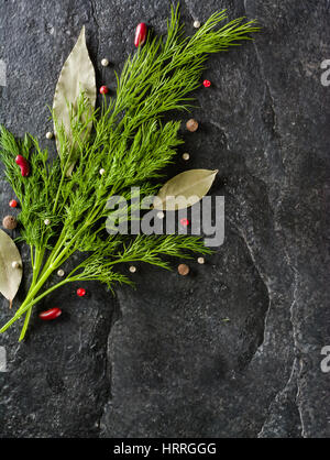 Fresco e verde mazzetto di aneto sulla pietra nera dello sfondo. Un sacco di spazio per il testo. Vista da sopra. Foto Stock