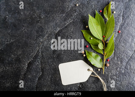 Rametto di nuovo la foglia di alloro e il pepe nero su sfondo di pietra. Un sacco di spazio per il testo. Foto Stock