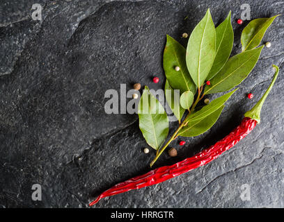 Rametto di nuovo la foglia di alloro e il pepe nero su sfondo di pietra. Un sacco di spazio per il testo. Foto Stock