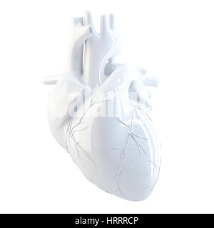 Il cuore umano. 3D render. Isolato su bianco, contiene il percorso di clipping. Foto Stock