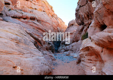 Il percorso stretto in uno slot canyon, la Valle del Fuoco nel Nevada, STATI UNITI D'AMERICA Foto Stock
