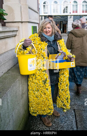 Borse Marie Curie di ospitalità per carità Daffodil appello donna narcisi a raccogliere donazioni street Truro Cornwall Regno Unito Foto Stock