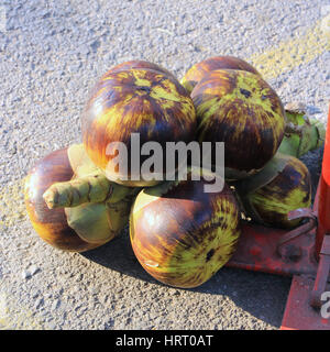 Asian Palmyra palm, Toddy palm, Sugar Palm, Palm cambogiani in Thailandia mercato locale Foto Stock