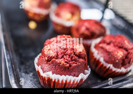 Velluto rosso muffin nelle camicie sul display Foto Stock