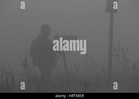 I fotografi della fauna selvatica Foto Stock