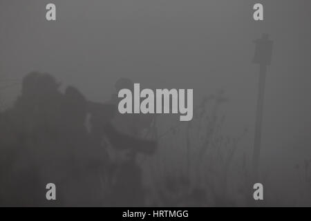 I fotografi della fauna selvatica Foto Stock